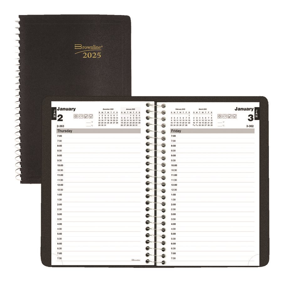 Daily Diary (2024)
