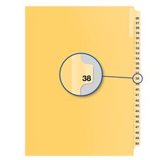 Individual Numerical Litigation Index Dividers