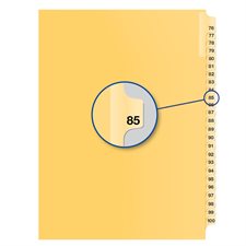 Individual Numerical Litigation Index Dividers