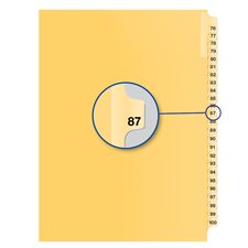 Individual Numerical Litigation Index Dividers