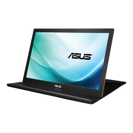 MB169B+ Portable Monitor