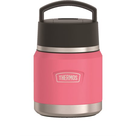 Bocal à nourriture en acier inoxydable avec cuillère Thermos