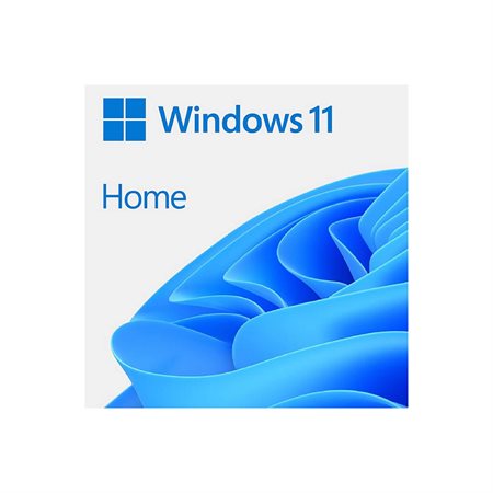 Système Microsoft Builder Windows 11 Pro