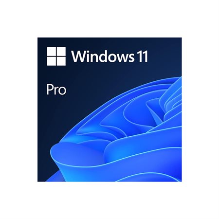 Système OEM Microsoft Builder Windows 11 Pro