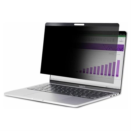 Privacy Screen Laptop 13"