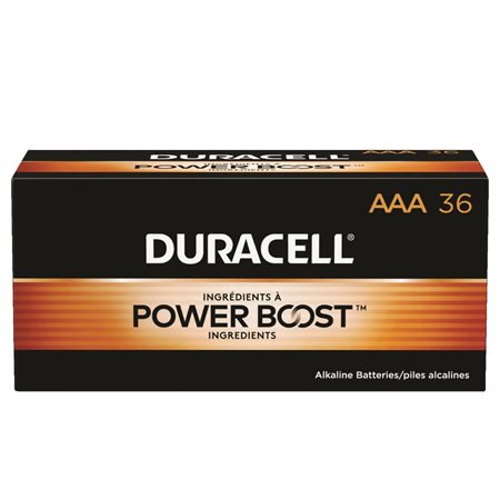 AAA Coppertop Alkaline Batteries