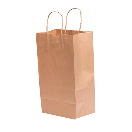 Sacs en papier à poignées torsadées