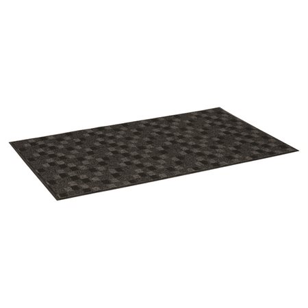 Tapis d'entrée Mat Tech Terra Nova